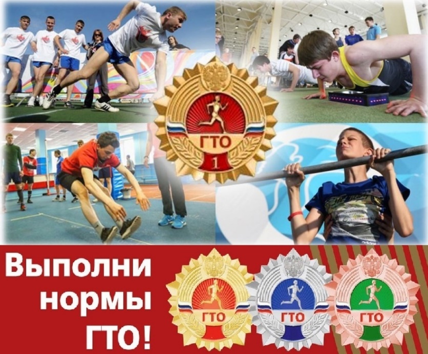 Всероссийский физкультурно-спортивный комплекс «Готов к труду и обороне» собрал учащихся 5-11 классов.